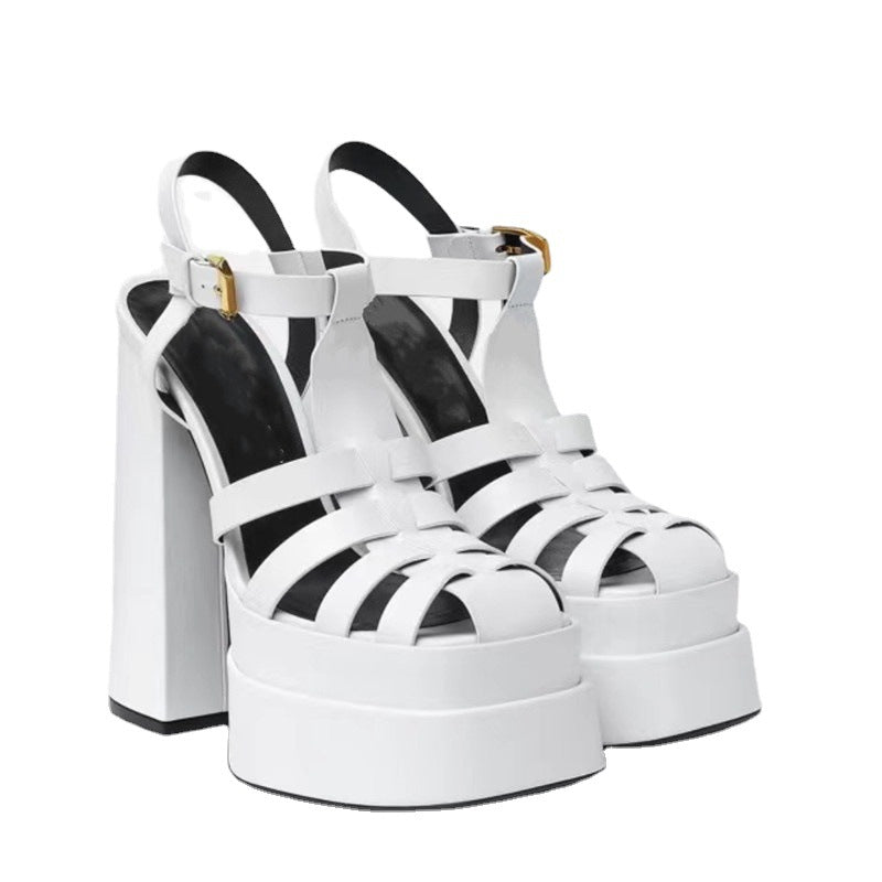 Summer Thick Heels High Heels Fish Mouth Europe And The United States